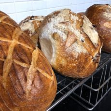 organic white sourdough organic white sourdough